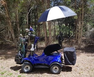 patterson golf buggies